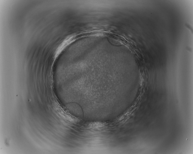 X0000100360198200806201612