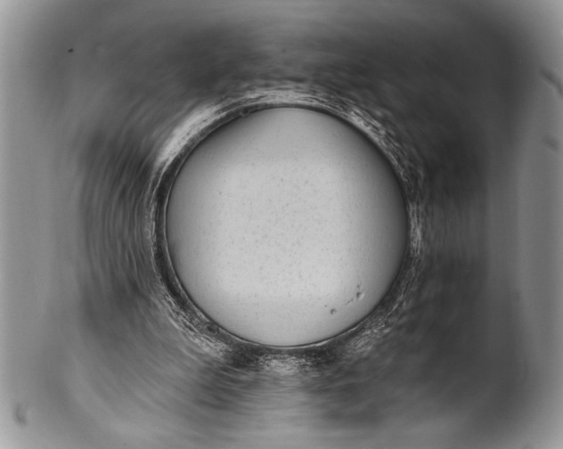 X0000100360199200806201612