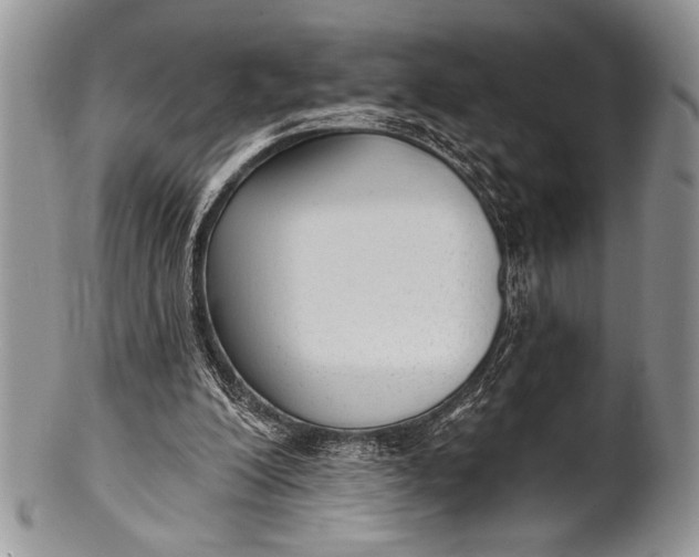 X0000100360200200806201612