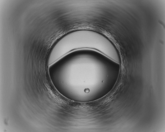 X0000100360201200806201612