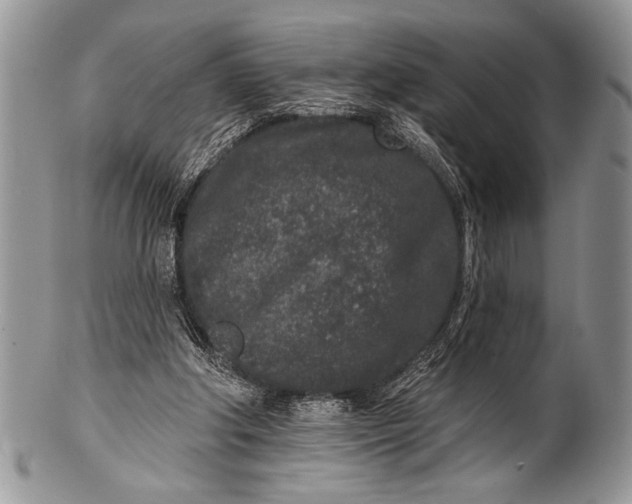 X0000100360202200806201612