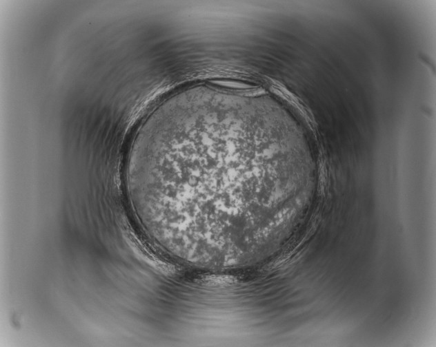 X0000100360203200806201612