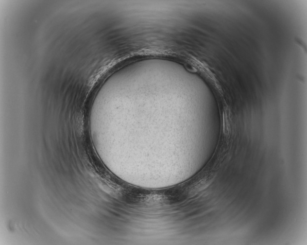 X0000100360204200806201612