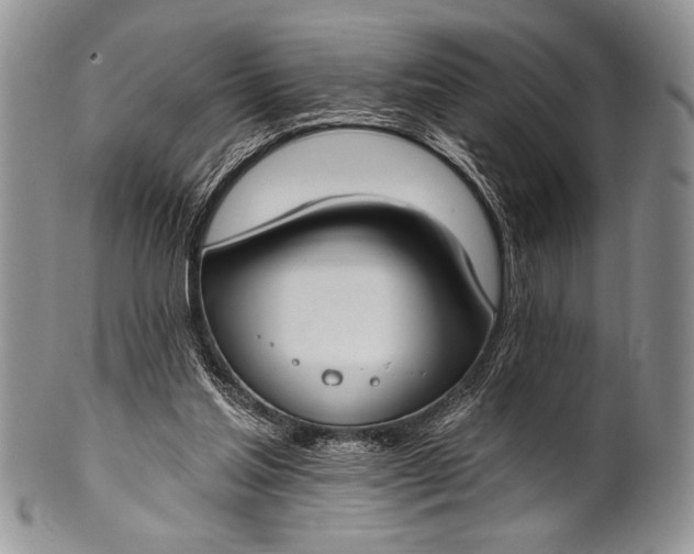 X0000100360205200806201612