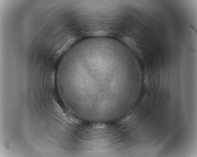 X0000100360206200806201612