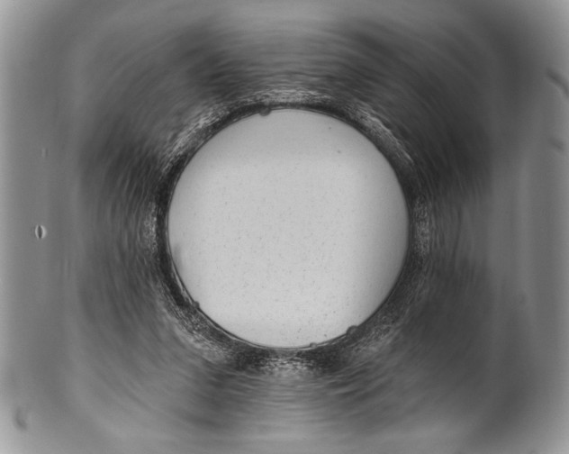 X0000100360207200806201612