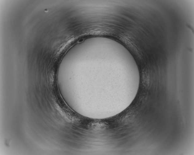 X0000100360208200806201612