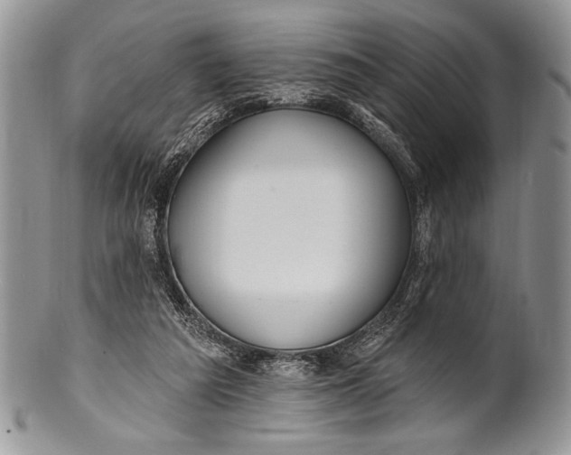 X0000100360209200806201612