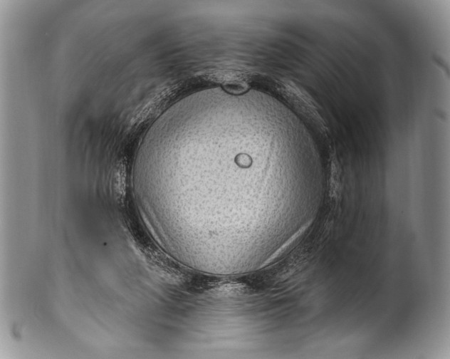 X0000100360210200806201612