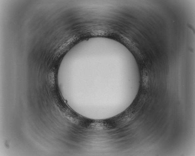 X0000100360211200806201612