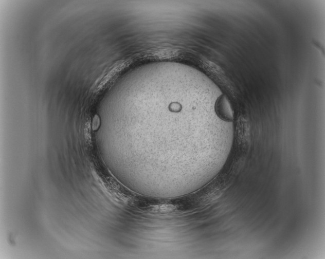 X0000100360212200806201612