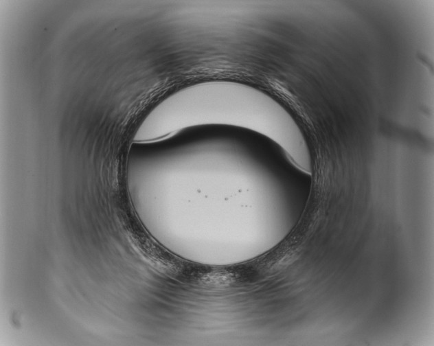 X0000100360213200806201612