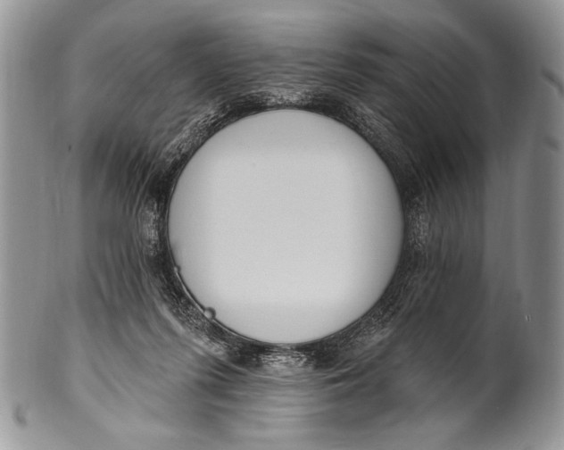 X0000100360215200806201612