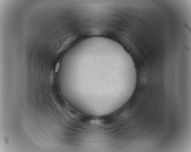 X0000100360216200806201612