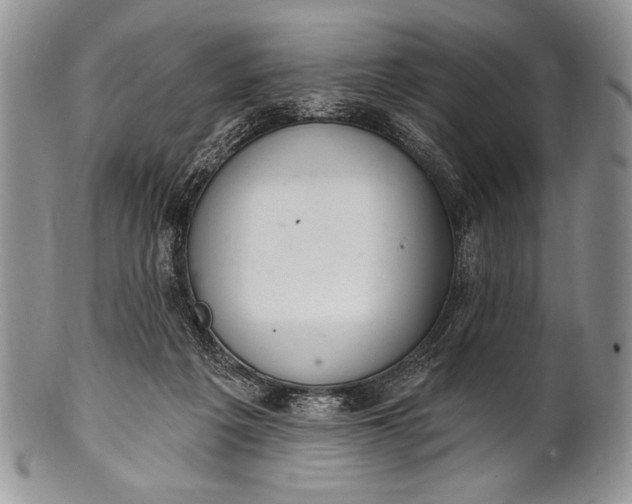 X0000100360217200806201612