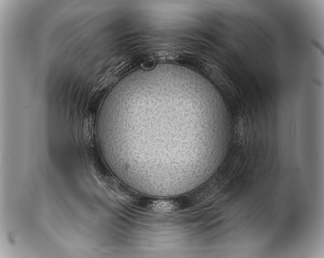 X0000100360218200806201612