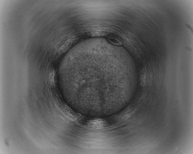 X0000100360219200806201612