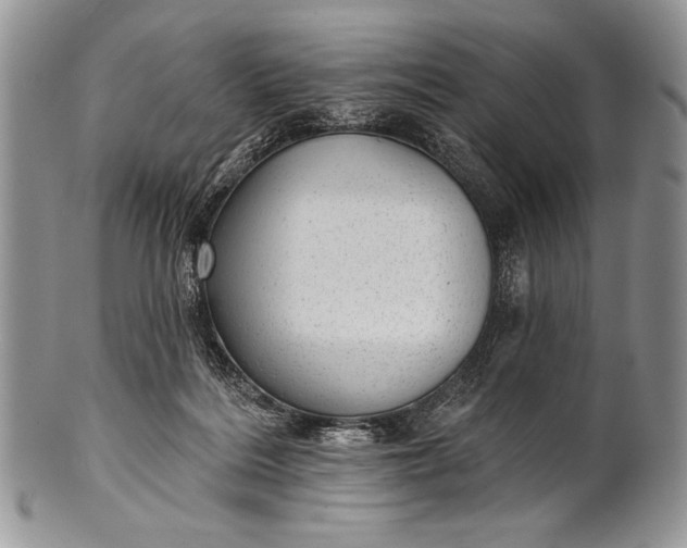 X0000100360220200806201612