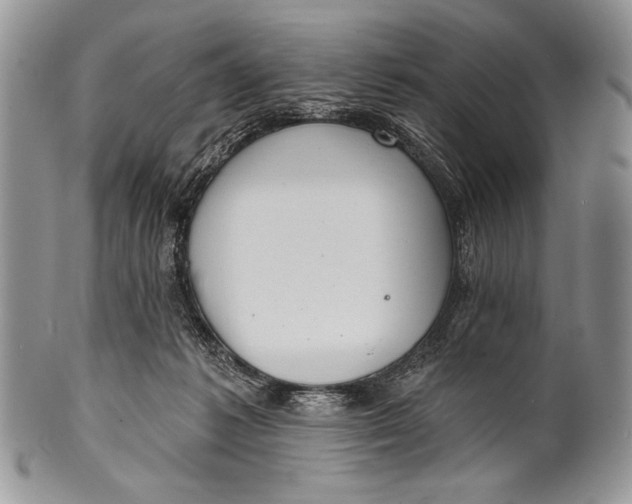 X0000100360221200806201612