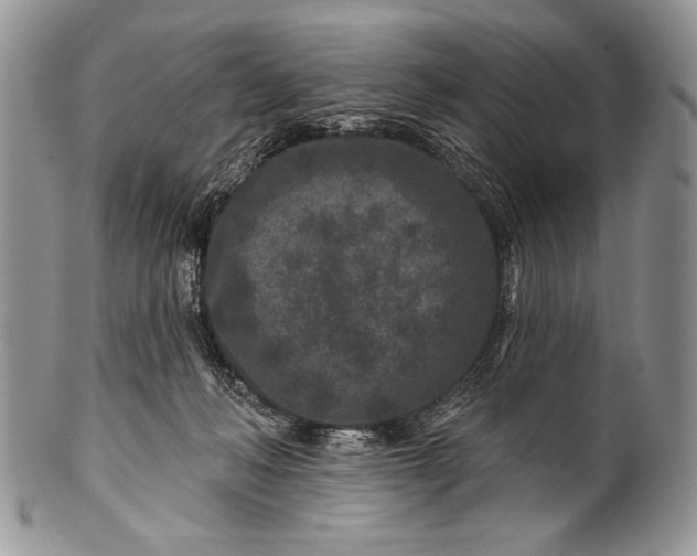 X0000100360222200806201612