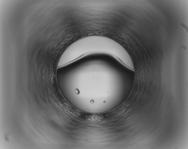 X0000100360223200806201612