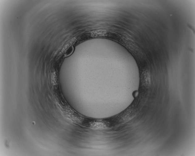 X0000100360224200806201612