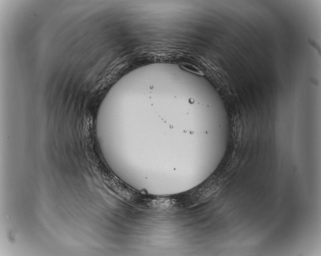 X0000100360225200806201612