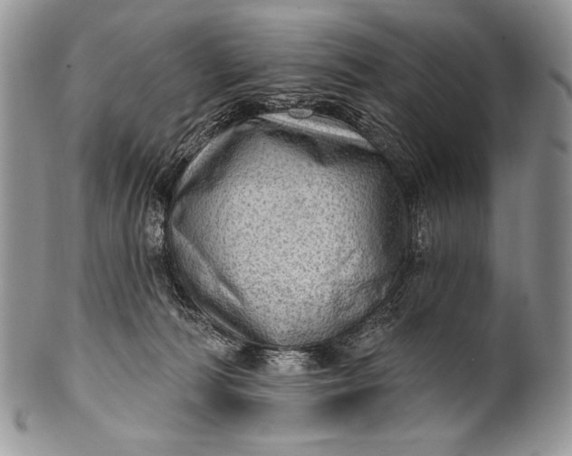 X0000100360226200806201612