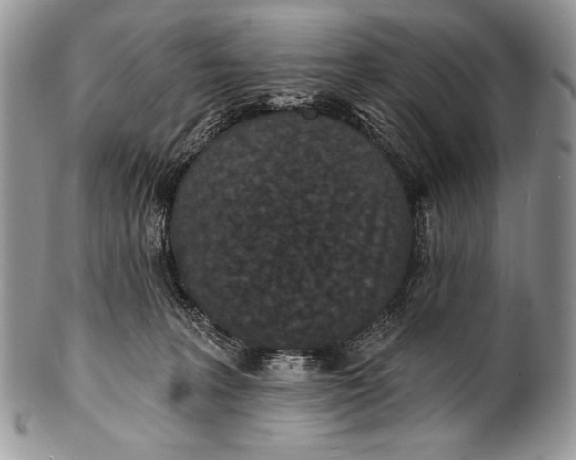 X0000100360227200806201612