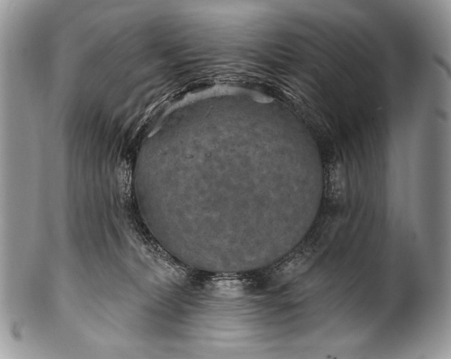 X0000100360228200806201612