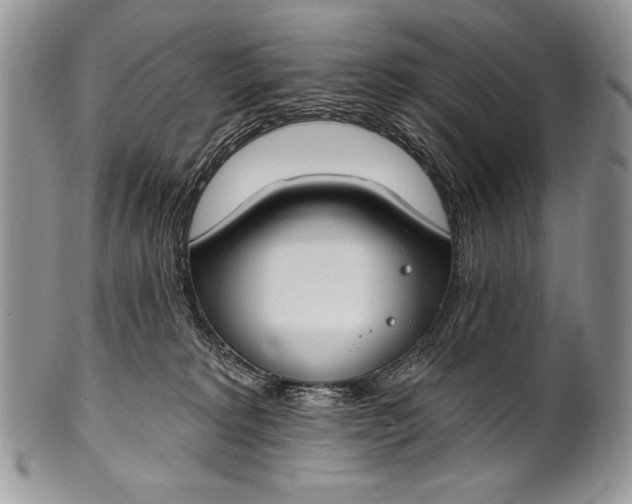 X0000100360229200806201612