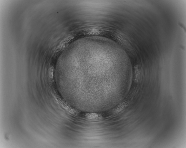 X0000100360230200806201612