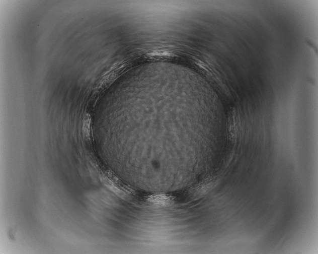 X0000100360231200806201612