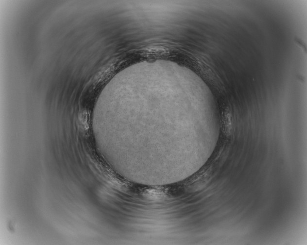 X0000100360232200806201612