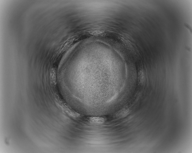 X0000100360234200806201611