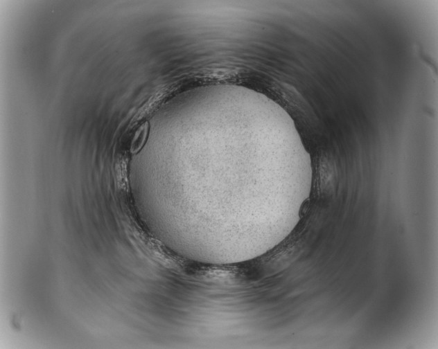 X0000100360236200806201611