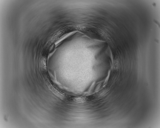 X0000100360238200806201611