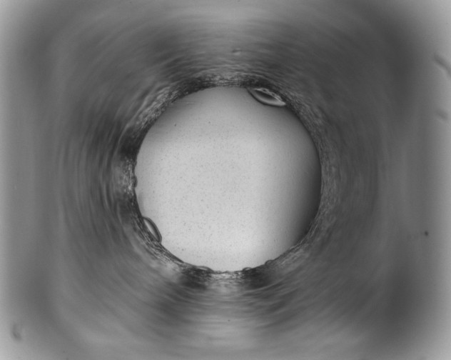 X0000100360240200806201611