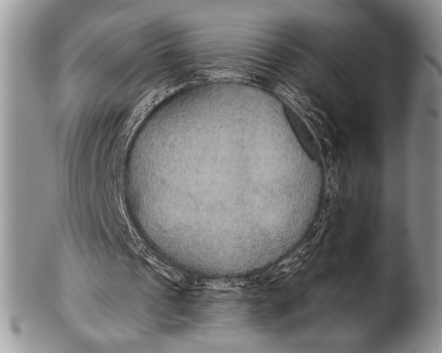 X0000100360241200806201611