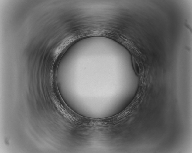 X0000100360242200806201611