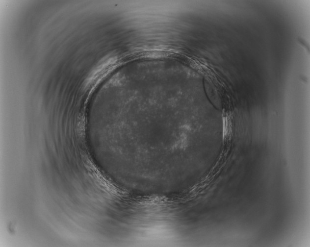 X0000100360243200806201611