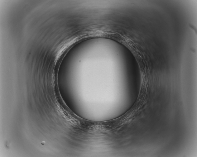 X0000100360244200806201611