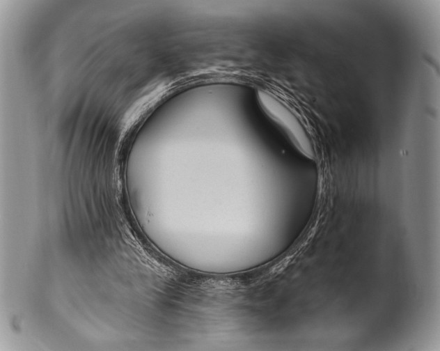 X0000100360245200806201611