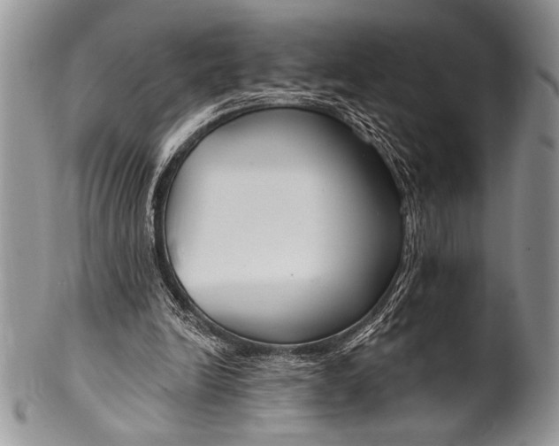 X0000100360246200806201611