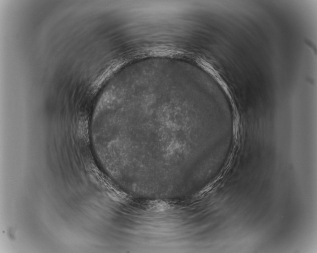 X0000100360249200806201611