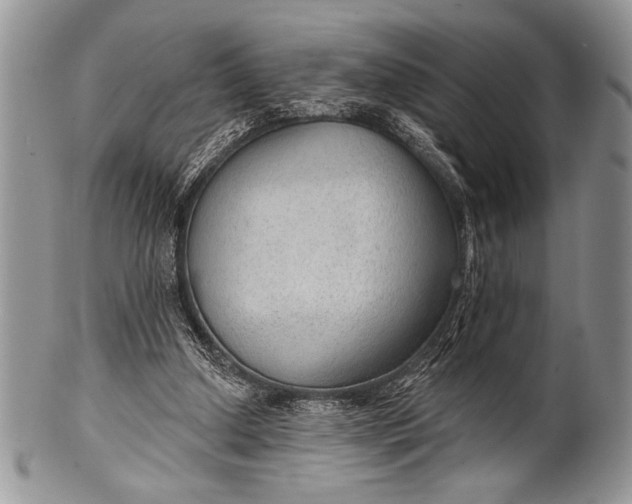 X0000100360250200806201611