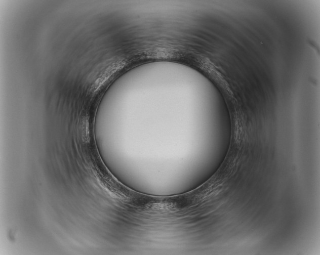 X0000100360251200806201611