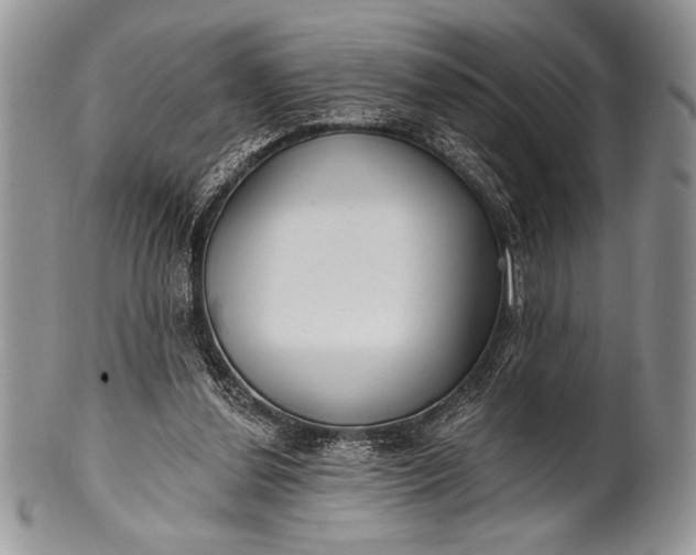 X0000100360252200806201611