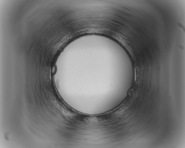 X0000100360253200806201611