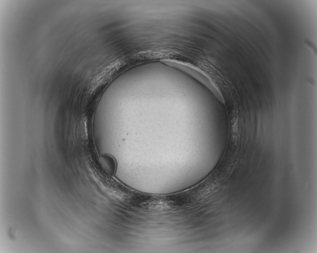 X0000100360254200806201611